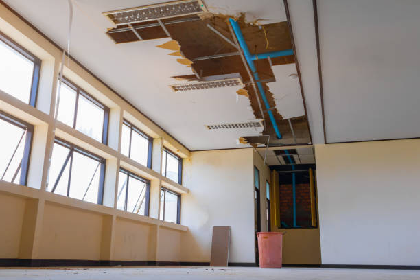 Best Water damage restoration near me  in Black Canyon City, AZ