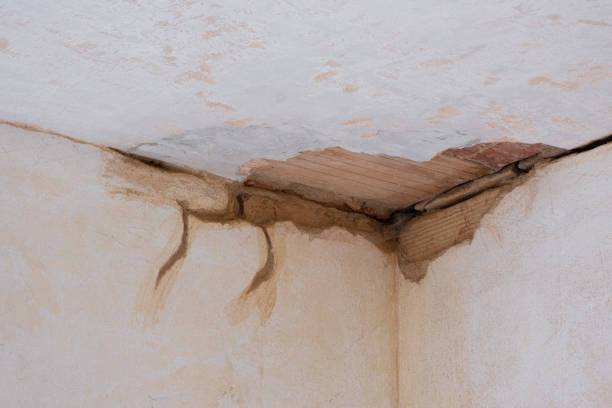 Best 24-hour water damage restoration  in Black Canyon City, AZ