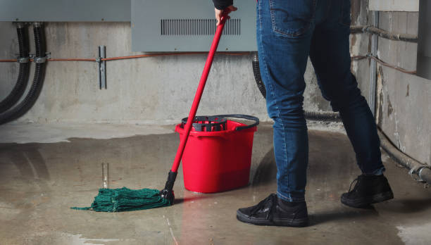  Black Canyon City, AZ Water damage restoration Pros