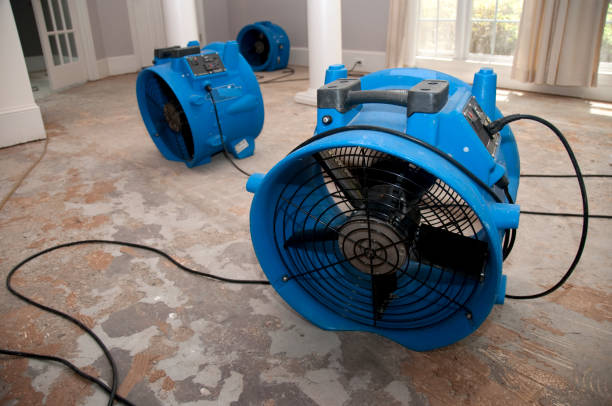 Best 24/7 water damage repair  in Black Canyon City, AZ