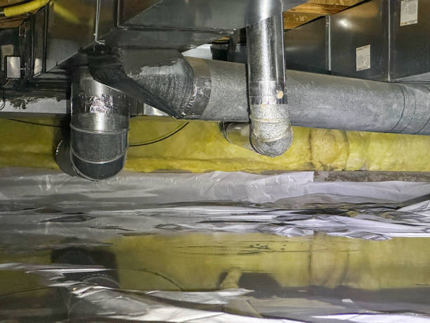 Best Flood damage cleanup  in Black Canyon City, AZ